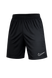 Шорты спортивные мужские DRI FIT черные